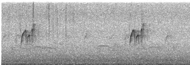 Синицевый гренадерчик - ML613043214