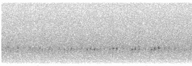 Сипуха [группа tuidara] - ML613043807