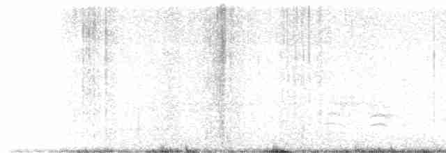 Гаїчка каролінська - ML613043897