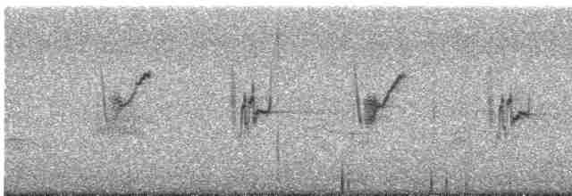 Патагонский овсяночник - ML613045275