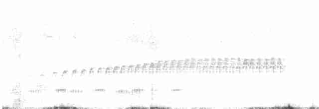 Корпуана білогорла - ML613045930