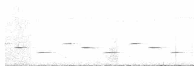 Psophode carillonneur - ML613045932