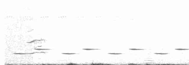 Psophode carillonneur - ML613045933