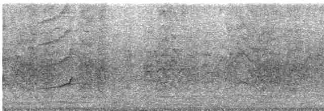 aratinga hnědohrdlý - ML613046221