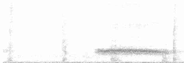 Сипуха крапчаста - ML613046359