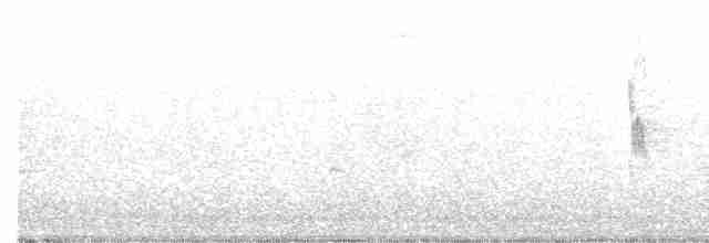 Сріблодзьоб чорноволий - ML613046682