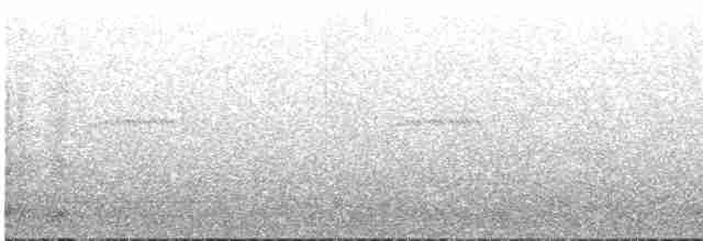 Чачалака цяткована - ML613047315