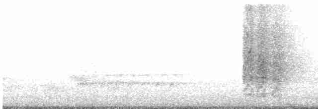 aratinga hnědohrdlý - ML613047629