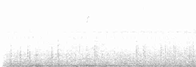 Double-crested Cormorant - ML613047859