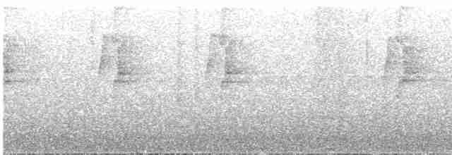 Большеклювый колибри-отшельник - ML613048155