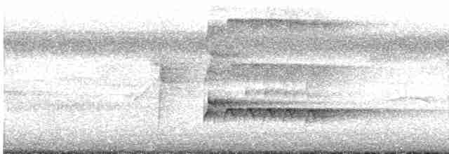 חרמשון קטן/חרמשון אמריקאי - ML613048324