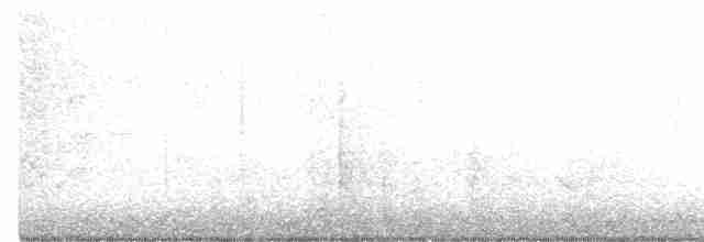 Élanion à queue blanche - ML613051798