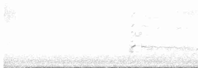 káně rudochvostá (ssp. borealis) - ML613051807