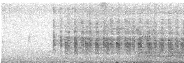 Тиран сірий - ML613054481