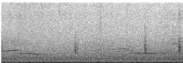 Münzevi Bülbül Ardıcı - ML613054599
