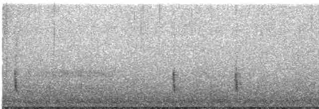 Münzevi Bülbül Ardıcı - ML613054813