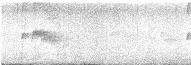 Тиран сірий - ML613055088