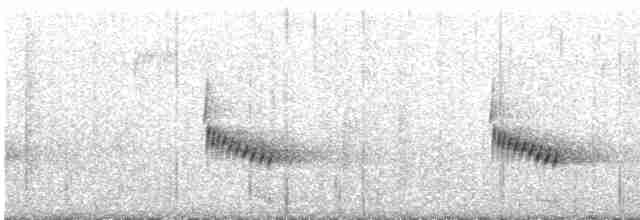 Поплітник каролінський - ML613057810