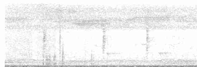 Australian Reed Warbler - ML613057942