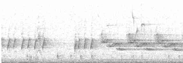 Поплітник каролінський - ML613058145
