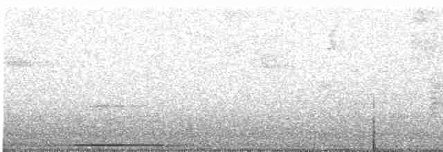 Lined Quail-Dove - ML613059417