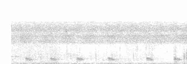 Large-tailed Nightjar - ML613060268