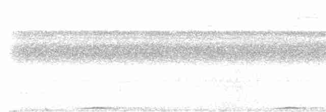holub žlutoprsý - ML613061263
