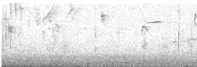 Gray-capped Hemispingus - ML613061983