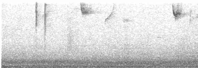 Gray-capped Hemispingus - ML613062005