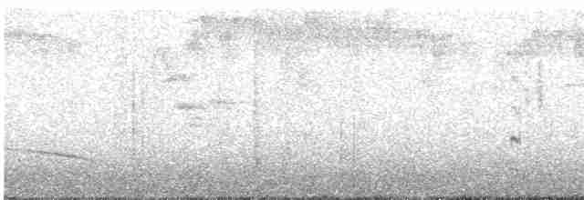hvitbrillehvitstjert - ML613062428