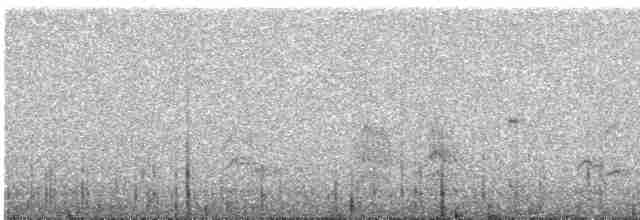 Красноголовая которра - ML613062504