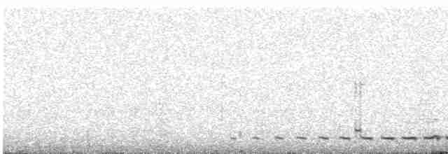 Gray-naped Antpitta - ML613062734