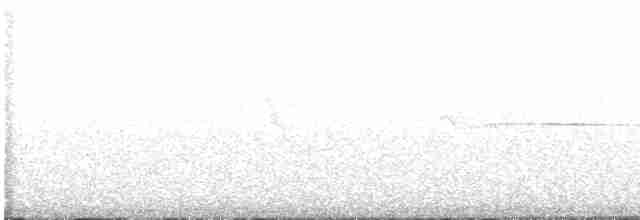 Ширококрылый канюк (platypterus) - ML613064065