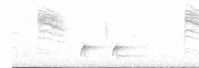 Сичик-горобець світлоголовий - ML613064491