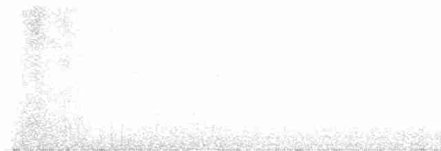 White-winged Crossbill - ML613064670