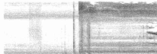 Палауанская белоглазка - ML613065646