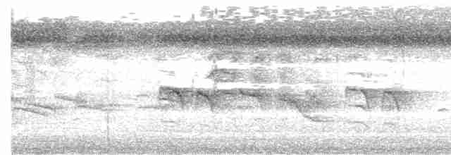 Палауанская белоглазка - ML613065647