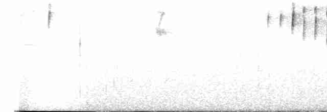 Five-striped Sparrow - ML613065716