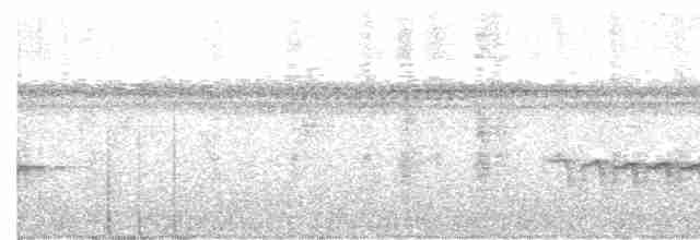 Fidschimonarch - ML613066238