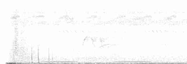 Fleckenlaufhühnchen - ML613066321