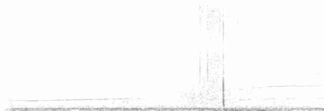アメリカキンメフクロウ - ML613066924