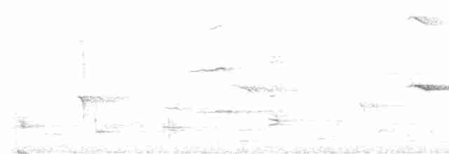 Iiwikleidervogel - ML613066999