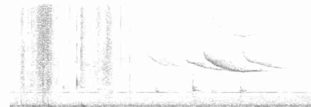 Lesser Goldfinch - ML613067836