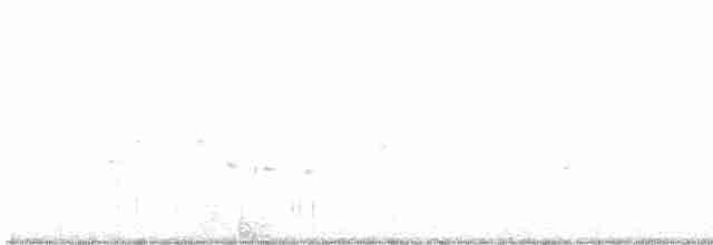 Pygargue à tête blanche - ML613068478