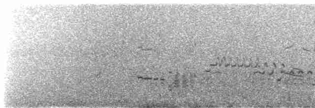Gaviota de Bering - ML613071034