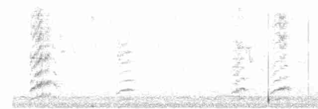 arara patagonský - ML613072430