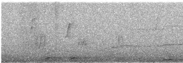 Çizgili Büyük Kırlangıç - ML613073654