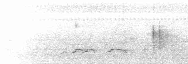 灰胸秧雞 - ML613074051