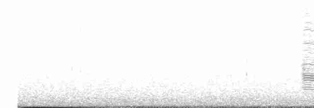 Chara de Beechey - ML613074552