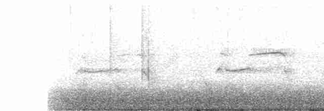 Fischadler (cristatus) - ML613074809